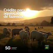 SG Consórcios