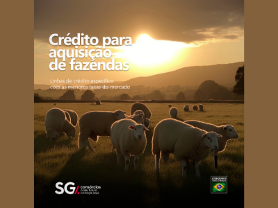 SG Consórcios