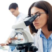 Mandioca na Bahia: pesquisa, tecnologia e inovação impulsionam a produção e transformam o campo