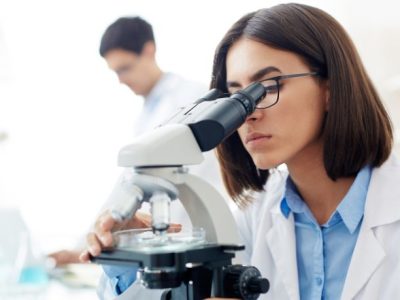 Mandioca na Bahia: pesquisa, tecnologia e inovação impulsionam a produção e transformam o campo