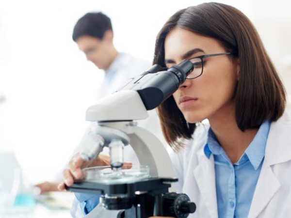 Mandioca na Bahia: pesquisa, tecnologia e inovação impulsionam a produção e transformam o campo