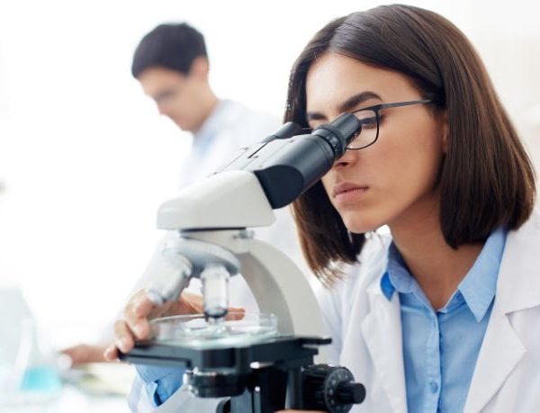 Mandioca na Bahia: pesquisa, tecnologia e inovação impulsionam a produção e transformam o campo