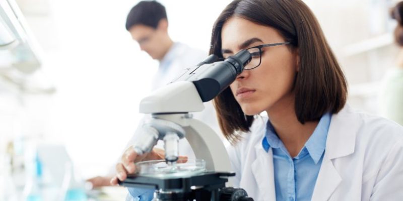 Mandioca na Bahia: pesquisa, tecnologia e inovação impulsionam a produção e transformam o campo