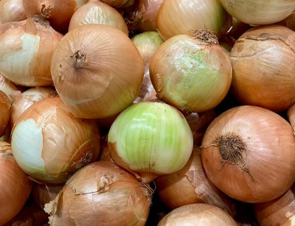 Preço da cebola dispara na Bahia e Brasil amplia importação da Argentina: impacto no bolso e no mercado agroalimentar