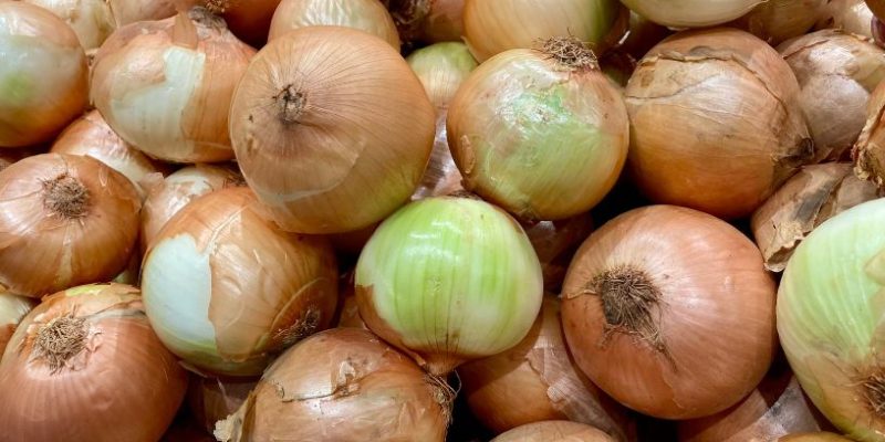 Preço da cebola dispara na Bahia e Brasil amplia importação da Argentina: impacto no bolso e no mercado agroalimentar