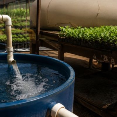 Desafios da Regulação Hídrica e Tecnologias de Dessalinização no Cenário Agrícola