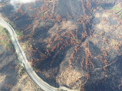 Vista aérea de uma área florestal queimada, com árvores carbonizadas e estradas entre a vegetação afetada.