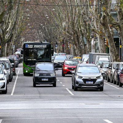 Ônibus do transporte público circula por uma avenida arborizada, entre carros e edifícios.