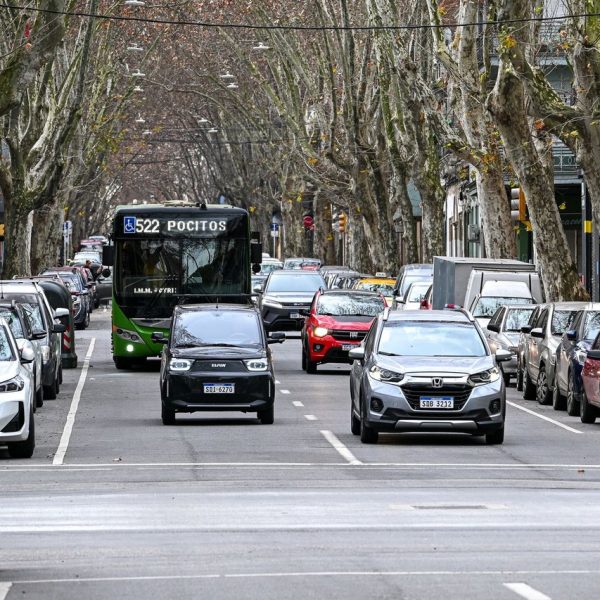 Ônibus do transporte público circula por uma avenida arborizada, entre carros e edifícios.