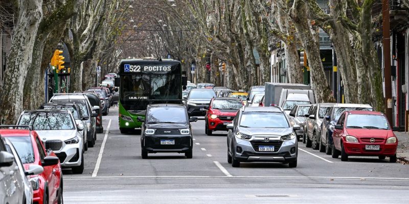 Ônibus do transporte público circula por uma avenida arborizada, entre carros e edifícios.